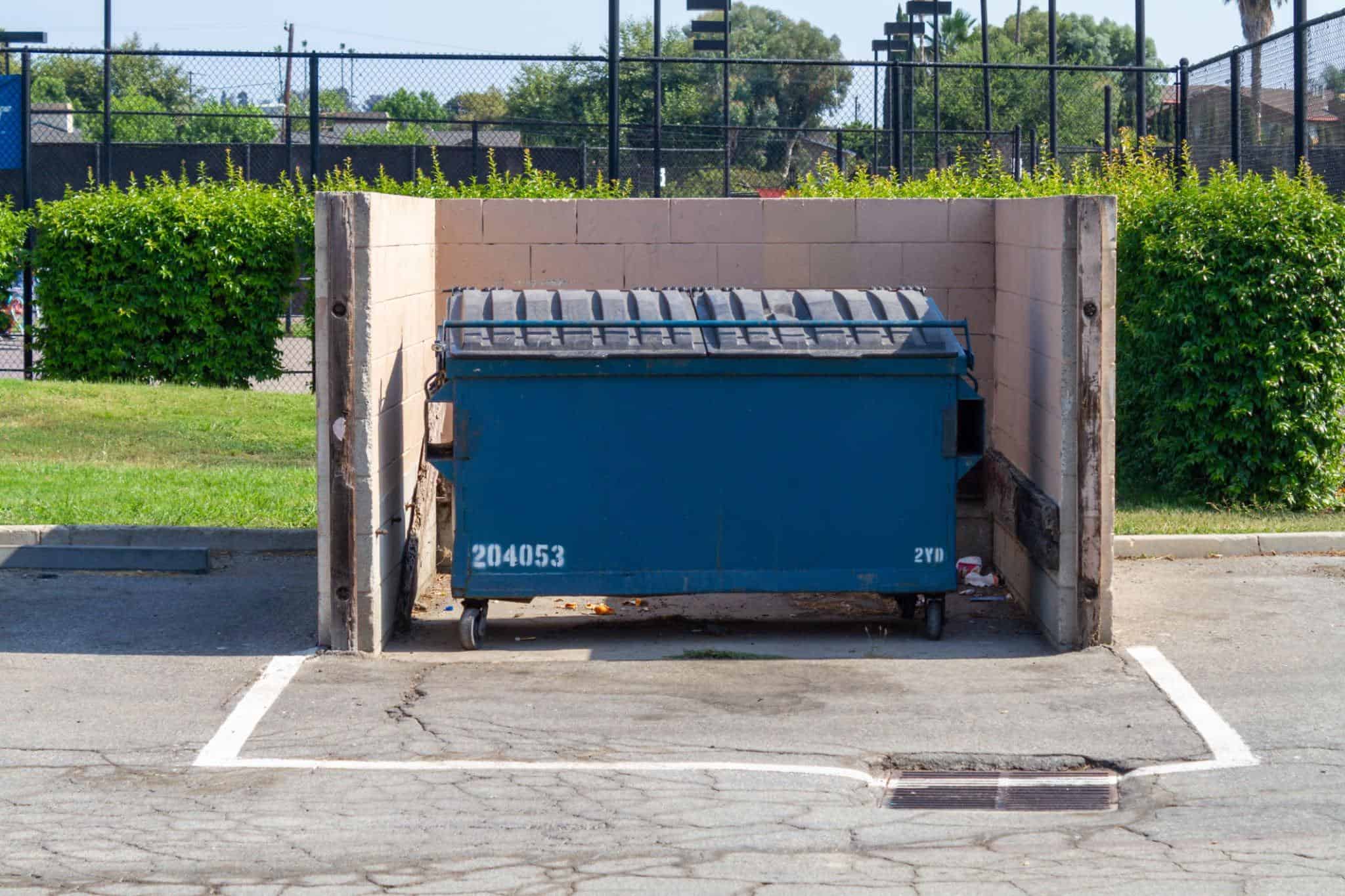 Dumpster Rental Helps with Property Cleanup