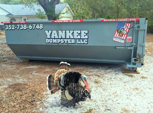 Thanksgiving Cleanup with Yankee Dumpster